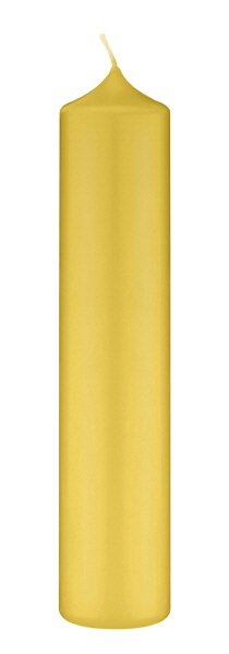 Altarkerzen 10 % Bienenwachs-Anteil Mostarda Senf 200 x Ø 90 mm, 4 Stück (einzeln cellophaniert)