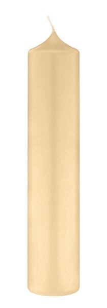 Altarkerzen 10 % Bienenwachs-Anteil Pinie 300 x Ø 40 mm, 4 Stück (einzeln cellophaniert)